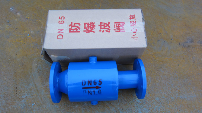 波閥DN65