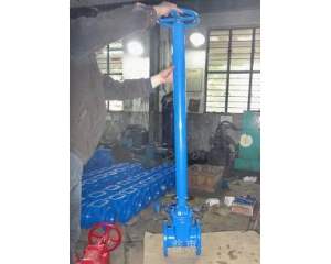 加長(zhǎng)桿彈性座封閘閥